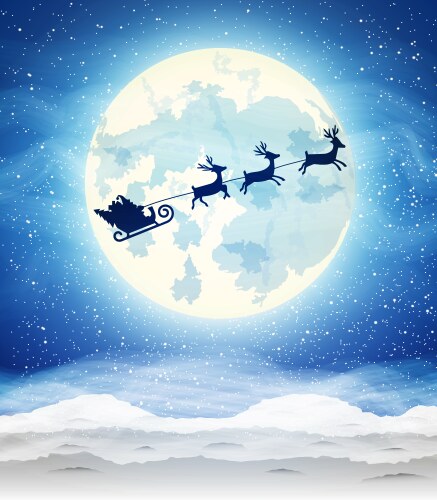 Winter Night with Santa's Sleigh Vector Image