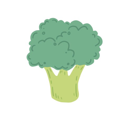 Broccoli cartoon style vector image