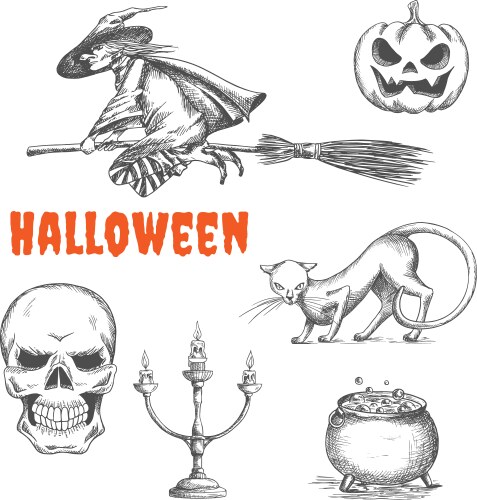Halloween Witch Sketch Vector Image