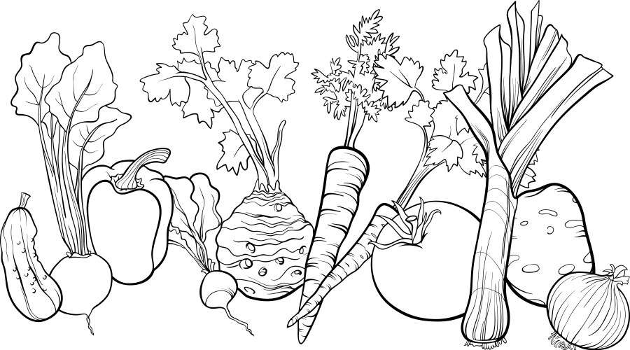 Vegetables group for coloring book vector image