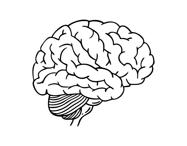 Hand-Drawn Brain Doodle Icon Vector Image
