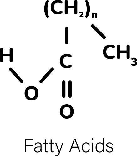 Lactic acid Royalty Free Vector Image - VectorStock