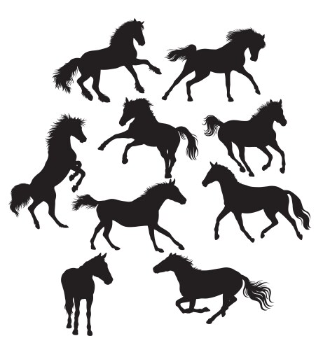 Horse silhouettes Vector Image