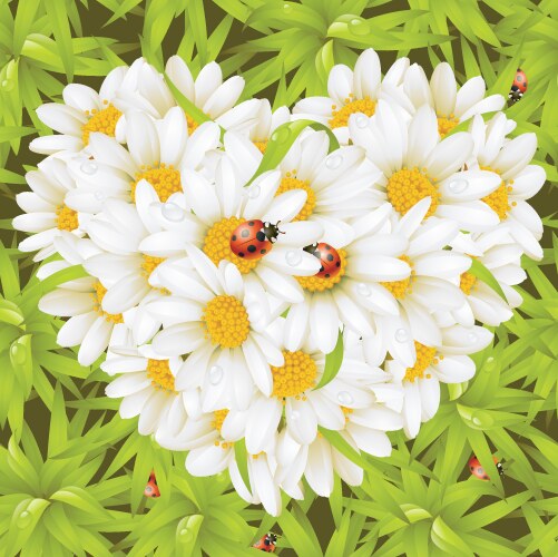 Floral love card poppy heart Royalty Free Vector Image