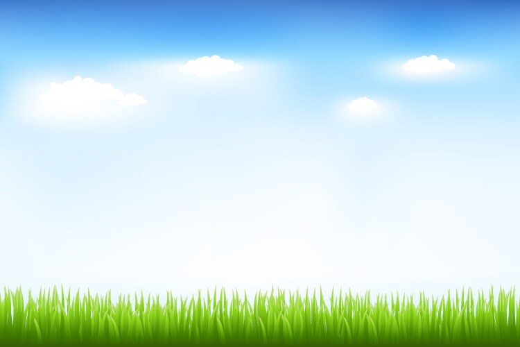 grass and sky vector