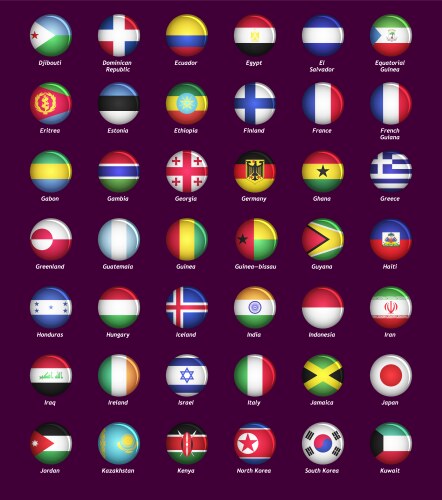 Flags and Buttons with Circular Icons vector image
