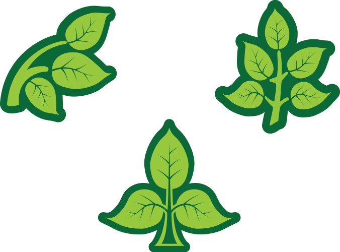 Spinach leaves icon cartoon style Royalty Free Vector Image