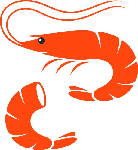 Shrimp vector image