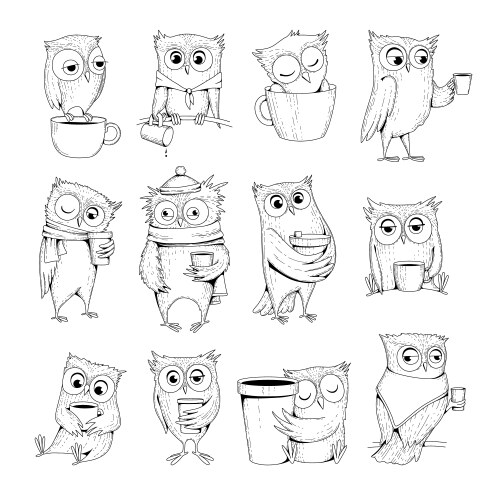 Sleepy Owls with Coffee Cups Vector Image
