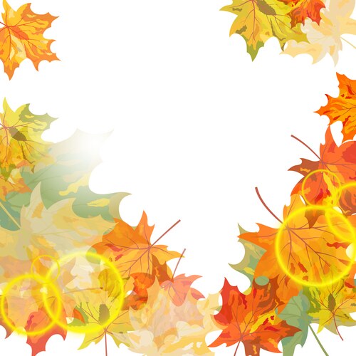 Autumn leaf fall background Royalty Free Vector Image