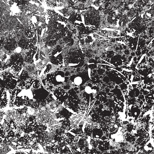 Abstract monochrome seamless pattern in grunge Vector Image