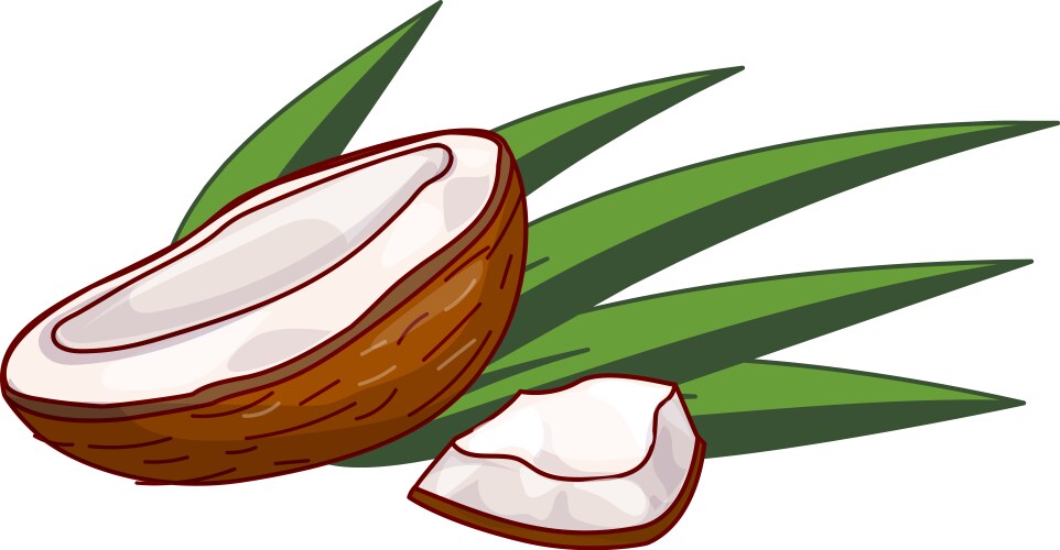 Two Coconuts Resting With Palm Tree Leaves Vector Image