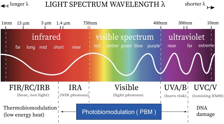 light spectrum chart vector