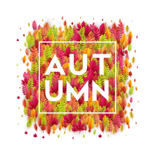 Hello autumn different colored leaves vector image