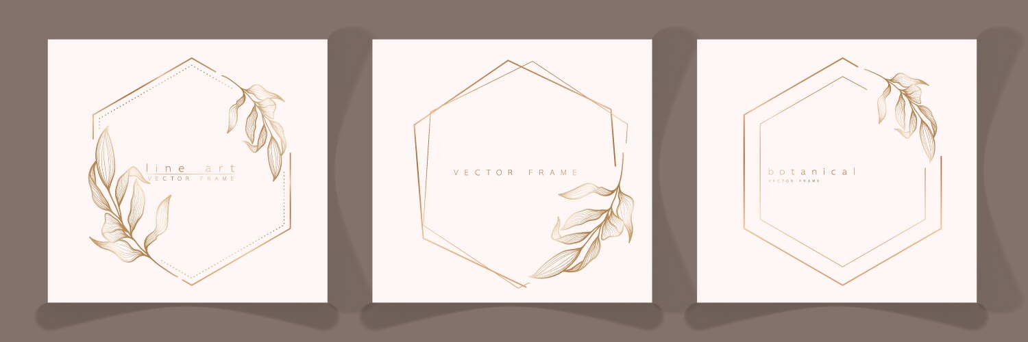 Set of hexagon frame templates in minimal linear vector image