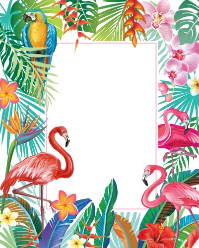 Tropical Flamingo Border Vector Image