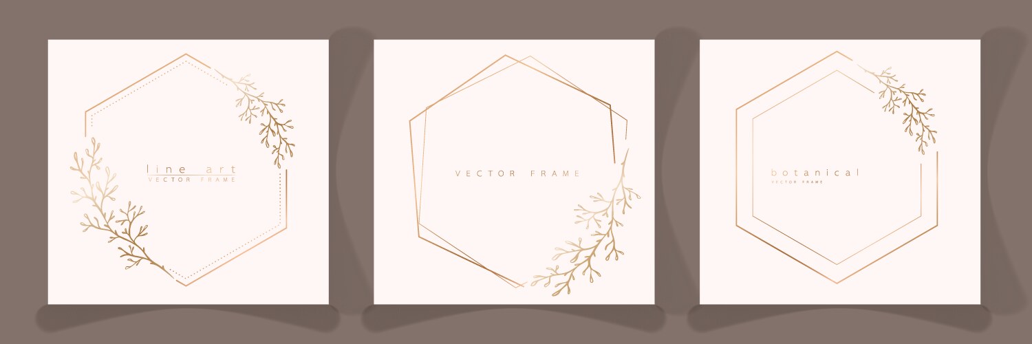 Set of hexagon frame templates in minimal linear vector image