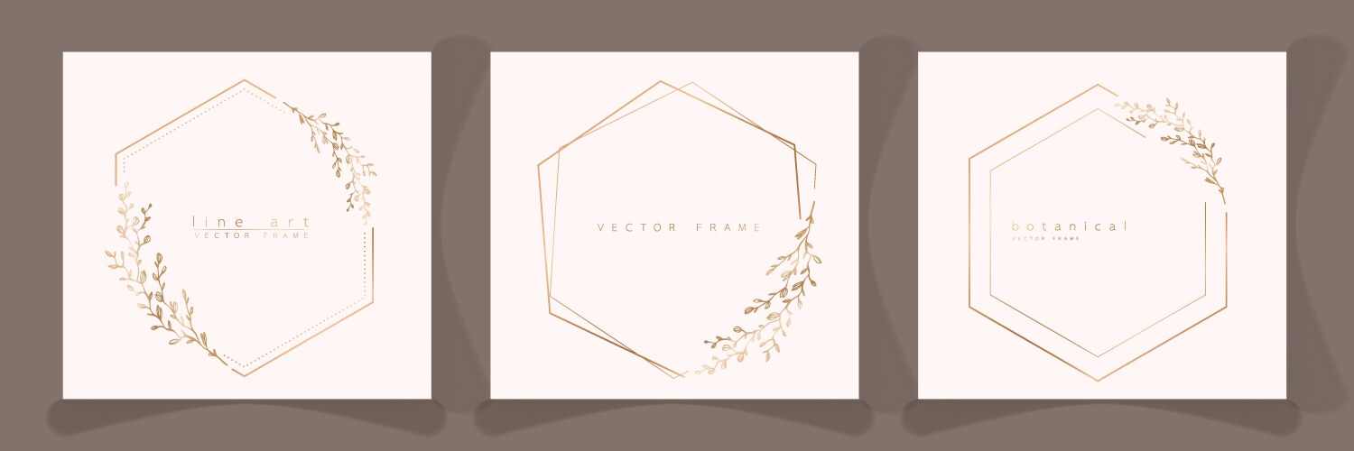 Set of hexagon frame templates in minimal linear vector image
