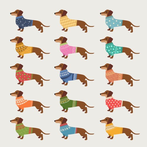 Dachshund clothes dogs wear with trendy patterns Vector Image