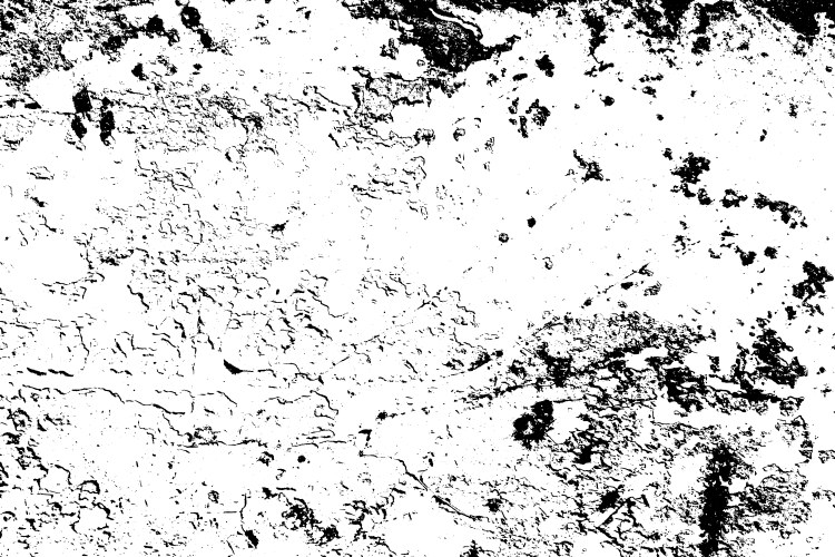 Grunge Black Texture Overlay Vector Image