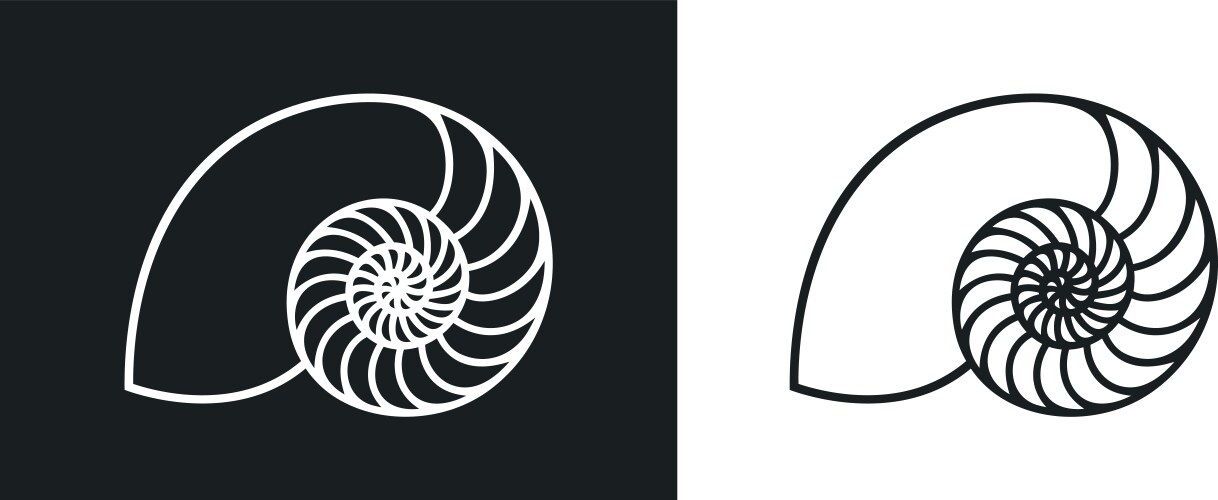 Nautilus vector image