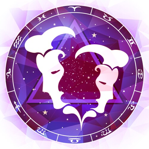 Gemini Zodiac Sign Celestial Pattern Vector Image