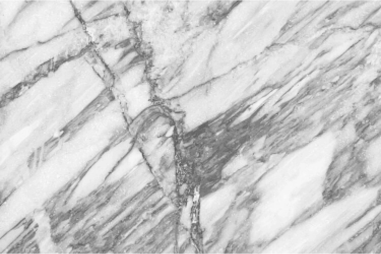 marble texture on white background vector image