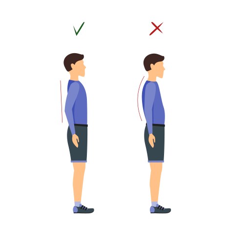 Correct or incorrect standing and walking posture vector image