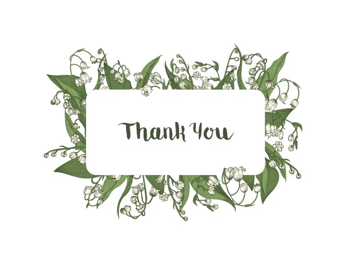 Thank you word handwritten wit elegant cursive vector image