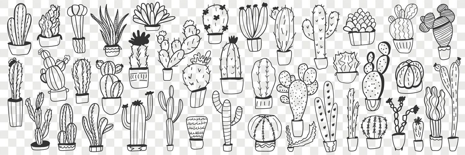 Cute Cactus Doodle Set Vector Image