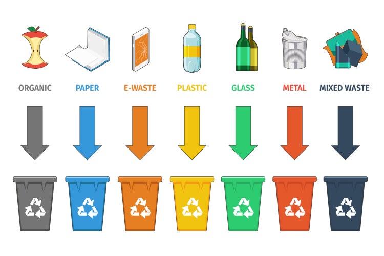 Recycling bins separation waste management vector image