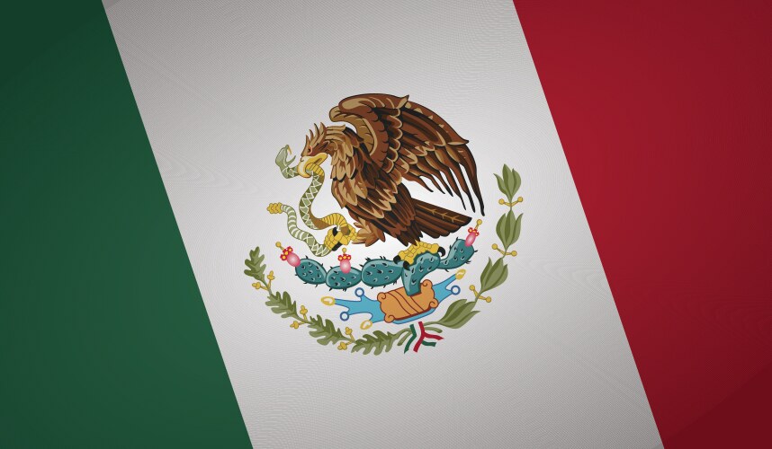 Mexico flag vector image