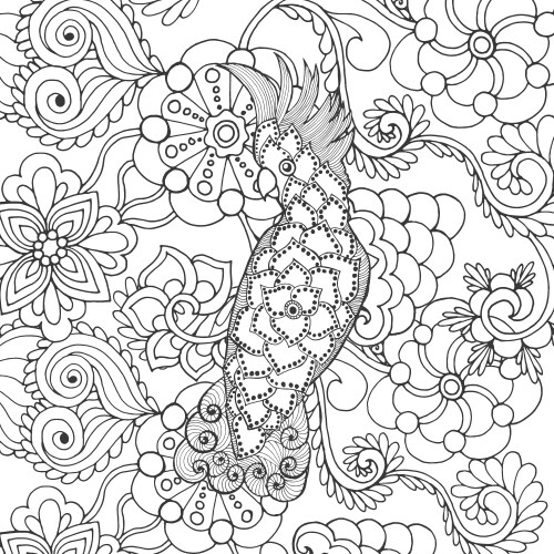 Exotic Cockatoo Floral Sketch Vector Image