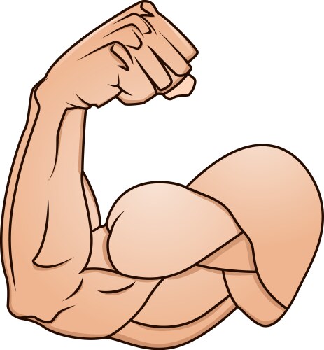 A strong arm showing its biceps muscle Vector Image