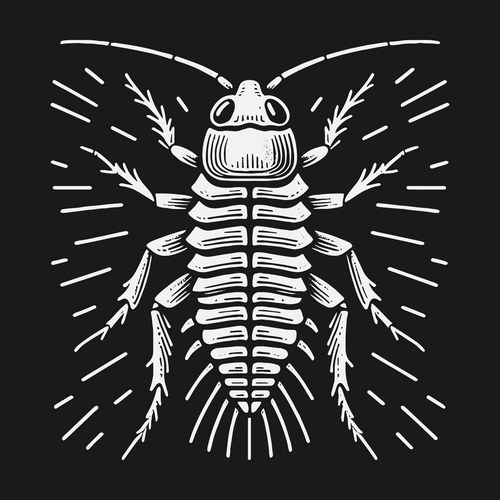 Detailed Insect Linocut Print Vector Image