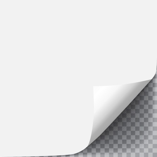 Blank a4 sheet white paper with curled corner Vector Image