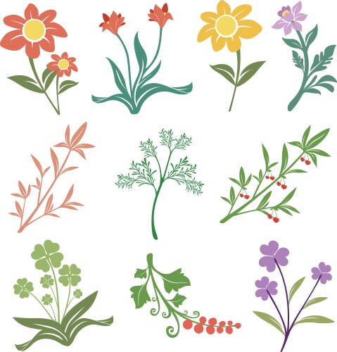 Tropical beautiful flower and leaf collections Vector Image