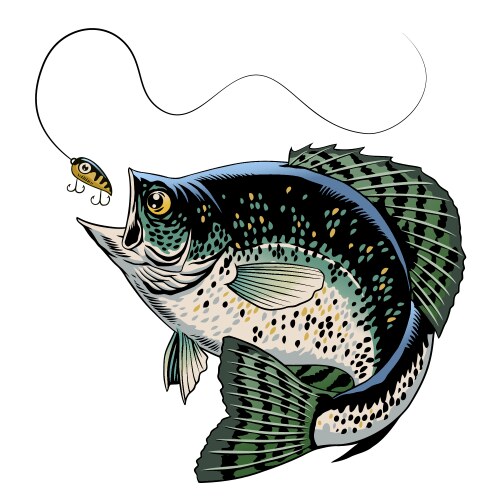 Crappie Fishing Lure - Retro Style Vector Image