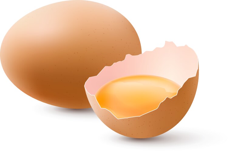 Set with raw fried and boiled chicken eggs Vector Image