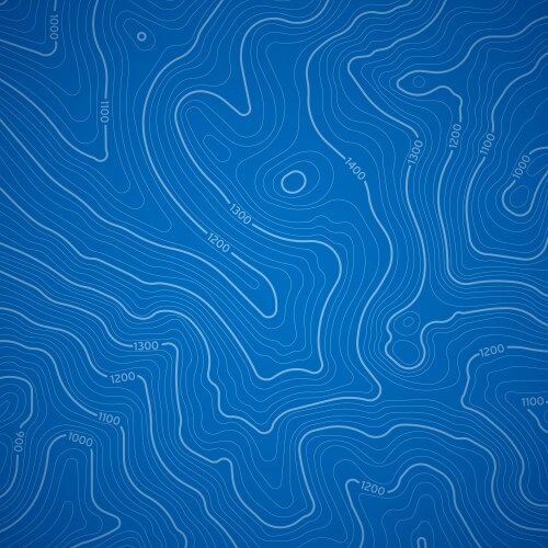 blue topographic lines vector image vector image