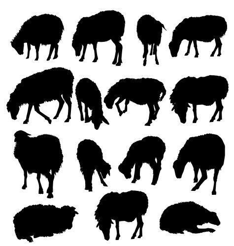 Herd of sheep Royalty Free Vector Image - VectorStock