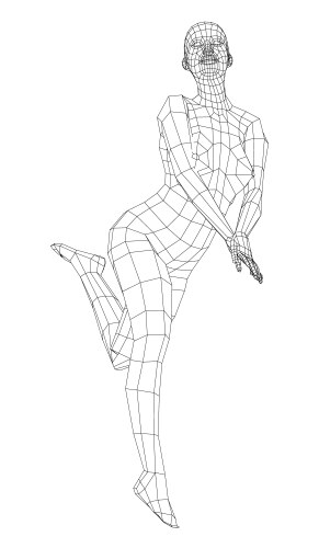 Wireframe girl posing in a sexy pose vector image