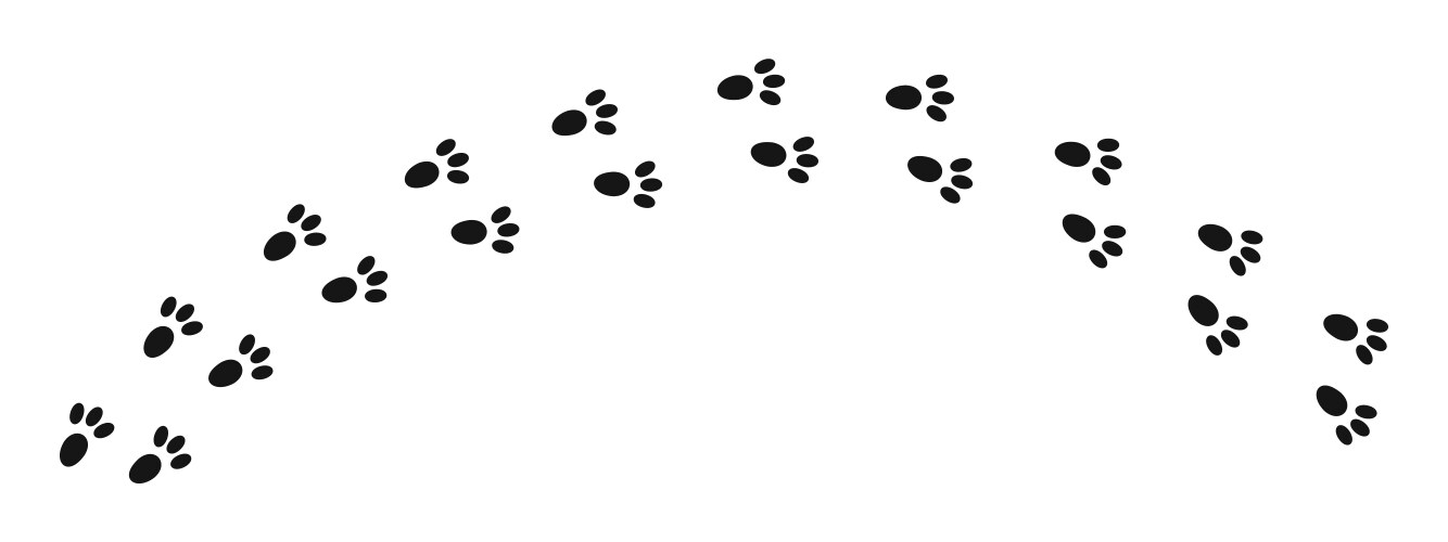 bunny wet or mud pawprints rabbit paw silhouettes vector image