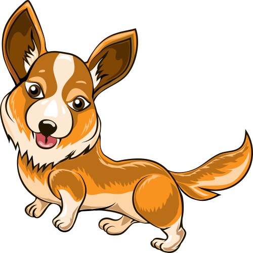 Cute corgi dog isolated on white background Vector Image