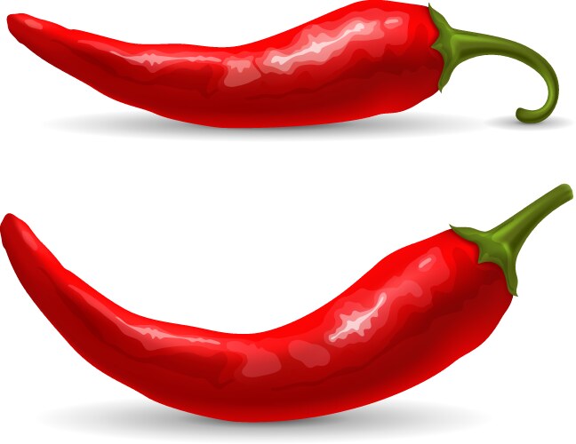 Pepper vegetable 3d icon Royalty Free Vector Image