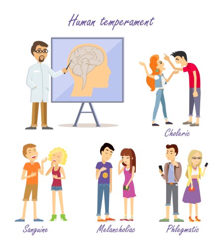 Human Temperament Fundamental Personality Types Vector Image
