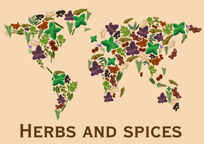 Herbs and spices flat icons in world map shape vector image