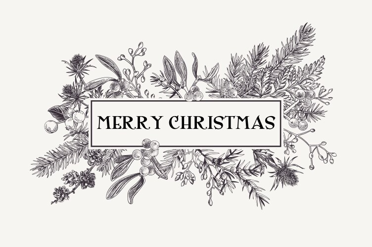 Christmas botanical card Royalty Free Vector Image
