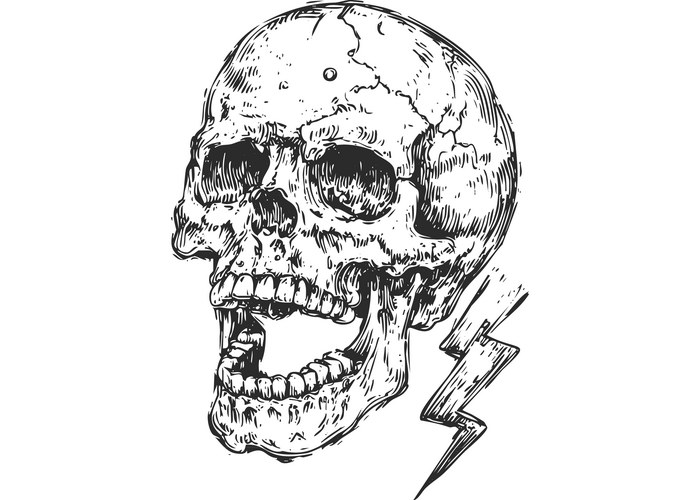 Vintage Skull with Lightning Strike Vector Image