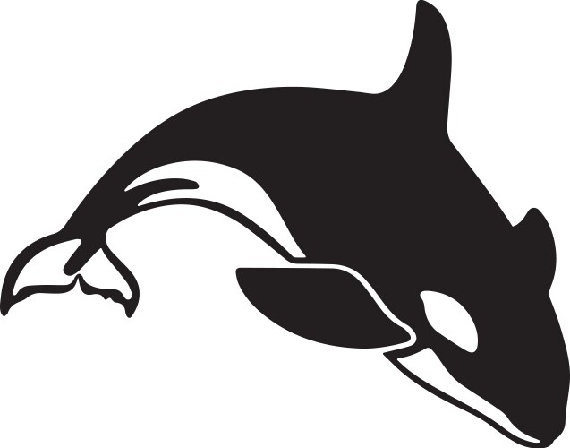 Orca whale mockup realistic style Royalty Free Vector Image